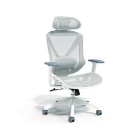 FlexFit Dexley Mesh Task Chair, Supports Up to 275 lb, 16.61" to 20.31 Seat Height, Gray Seat, Gray Back, White Base