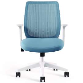 Wessex Ergonomic Fabric Mesh Swivel Task Chair, Up to 275 lb, 17.09 to 20.83 Seat Height, Seafoam Seat/Back, White Base