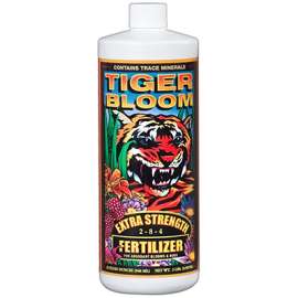 QT Tiger Bloom