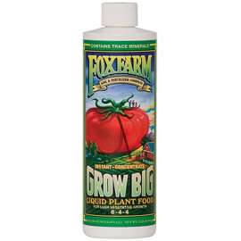 PT Grow Big