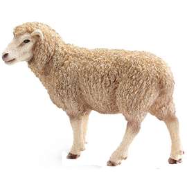 WHT Sheep
