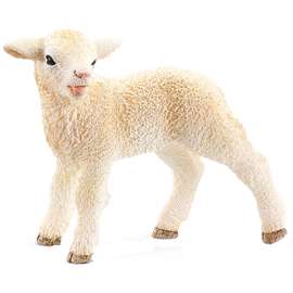 WHT Lamb