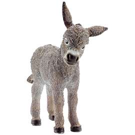 GRY Donkey Foal