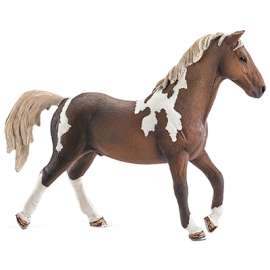 BRN Trakehner Stallion