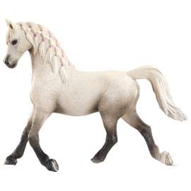 WHT Arabian Mare