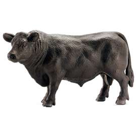 BLK Angus Bull