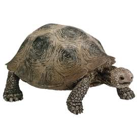 GRN Turtle