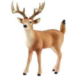 BRN/WHT Tailed Buck