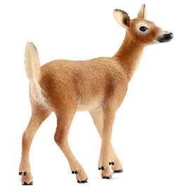 BRN/WHT Tailed Doe