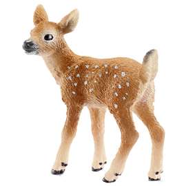 WHT Tailed Fawn