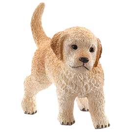 Golden Retriever Puppy