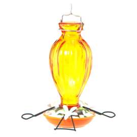 Fluted Oriole Feeder