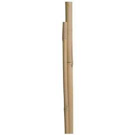 MG 12PK 4' Bamboo Stake