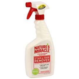 24OZ Stain/Odor Remover