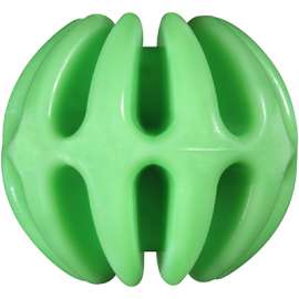 JW MED Ball Dog Toy