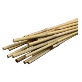 MG 12PK 3' Bamboo Stake