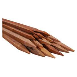 MG 5PK 4' HardWD Stakes