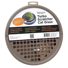 Turbo Cat Grass
