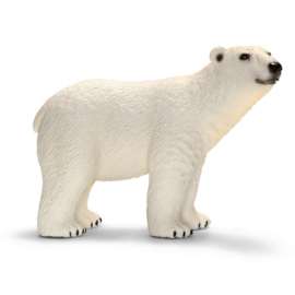 WHT Polar Bear