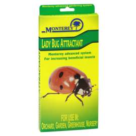 Lady Bug Lure