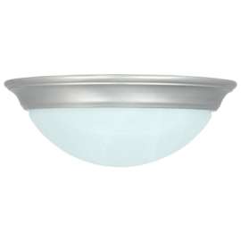 13" NI LED Ceil Fixture