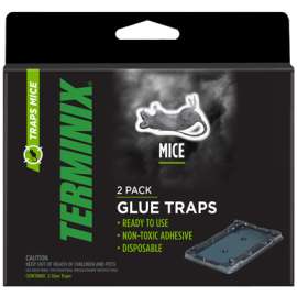 Term 2PK Mouse Trap