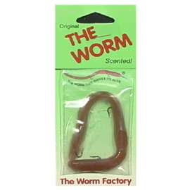 6" REG Worm Fish Lure