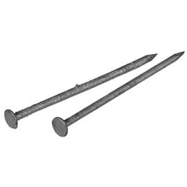 LB 3"10D Galv Box Nail