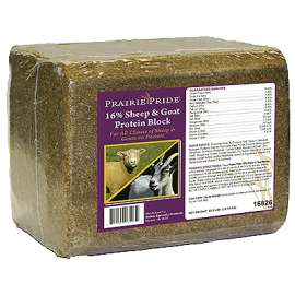 33LB Sheep/Goat Block