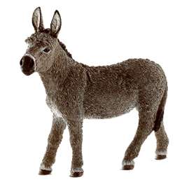 BRN Donkey
