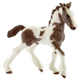 BRN/WHT Tinker Foal