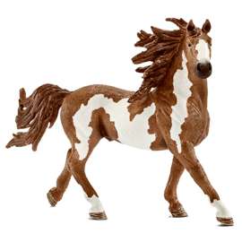 BRN/WHT PTO Stallion