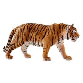 ORG/BLK Tiger