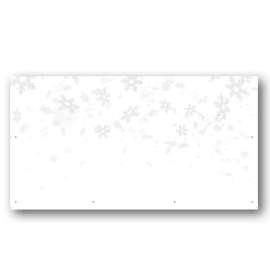 Snow BackGRND DSP Panel
