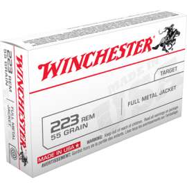 20RND 223 Rem RFL Ammo