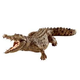 GRN/PNK Crocodile