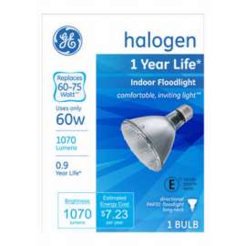 GE 60W L Neck FLD Bulb