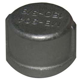3/8" SS Pipe Cap
