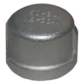 3/4" SS Pipe Cap