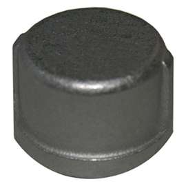 1/2" SS Pipe Cap