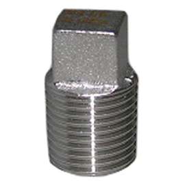 1/8" SS Pipe Plug