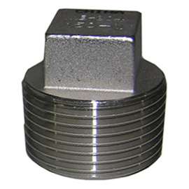 1/2" SS Pipe Plug