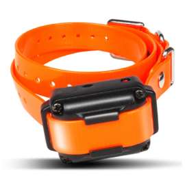 Dogtra IQ Plus Collar