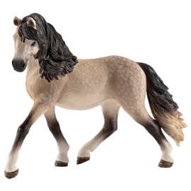 GRY Andalusian Mare