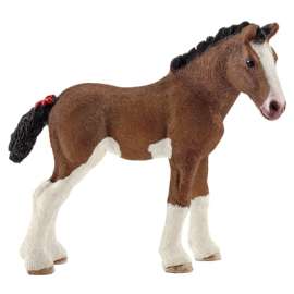 BRN Clydesdale Foal