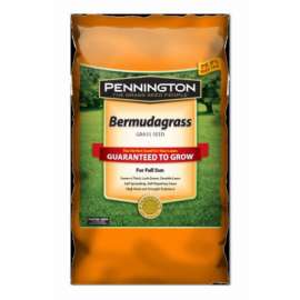 LB Bermuda Seed