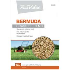 TV 5LB Bermuda Seed