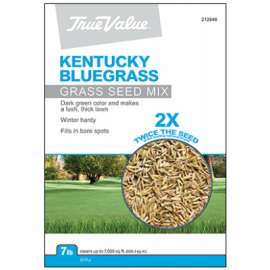 TV 7LB KY BLUgrass Seed
