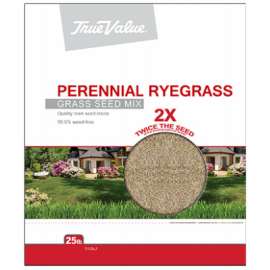TV 25LB Peren Rye Seed