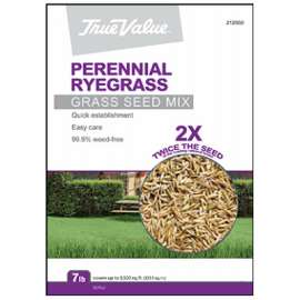 TV 7LB Peren Rye Seed